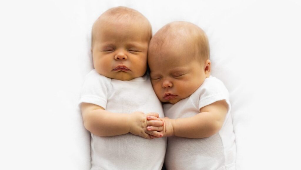 gemelli